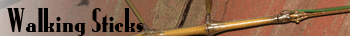 Walkingsticks