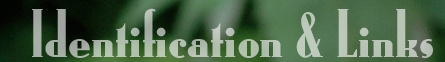 Identification & Links